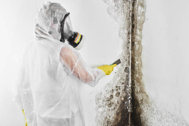 Best Crawl Space Mold Removal  in Saybrook Manor, CT