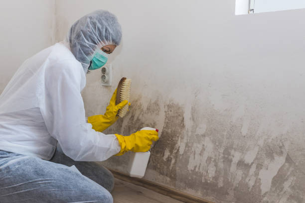 Best Attic Mold Removal  in Saybrook Manor, CT
