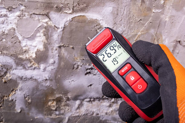 Best Crawl Space Mold Removal  in Saybrook Manor, CT