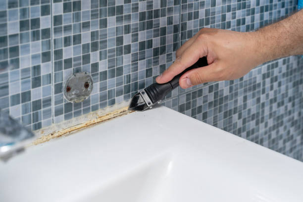 Professional Mold Removal in Saybrook Manor, CT