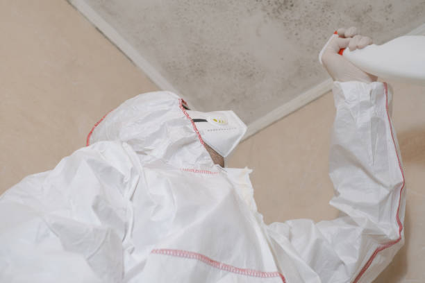 Best Mold Testing  in Saybrook Manor, CT