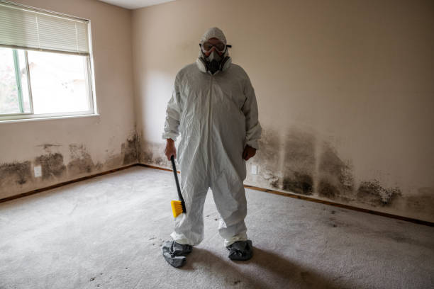Best Commercial Mold Removal  in Saybrook Manor, CT